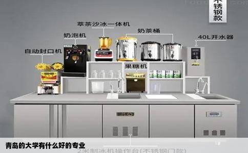 青岛的大学有什么好的专业