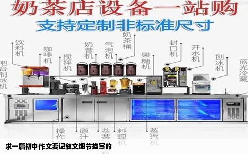 求一篇初中作文要记叙文细节描写的