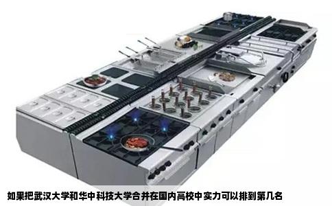 如果把武汉大学和华中科技大学合并在国内高校中实力可以排到第几名