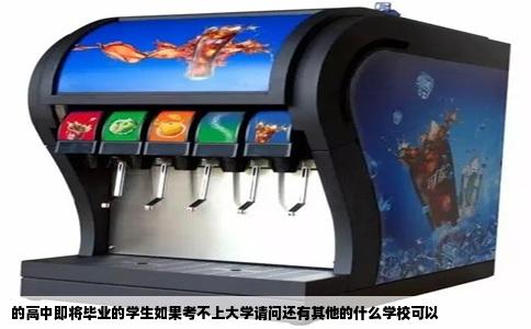 的高中即将毕业的学生如果考不上大学请问还有其他的什么学校可以