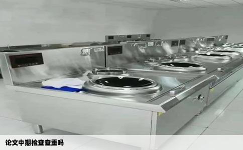 论文中期检查查重吗