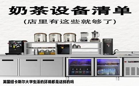 英国纽卡斯尔大学生活的环境都是这样的吗