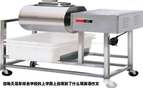 你每天是怎样去学校的上学路上你看到了什么呢英语作文