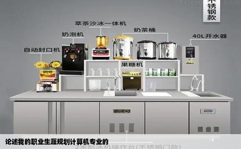 论述我的职业生涯规划计算机专业的