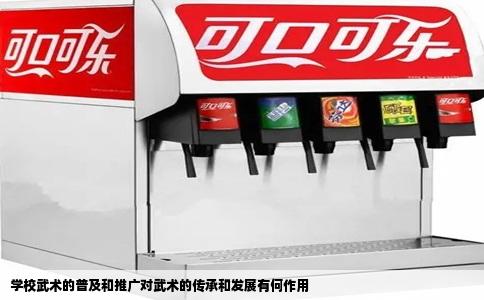 学校武术的普及和推广对武术的传承和发展有何作用