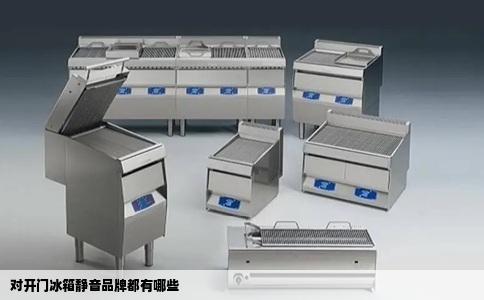 对开门冰箱静音品牌都有哪些
