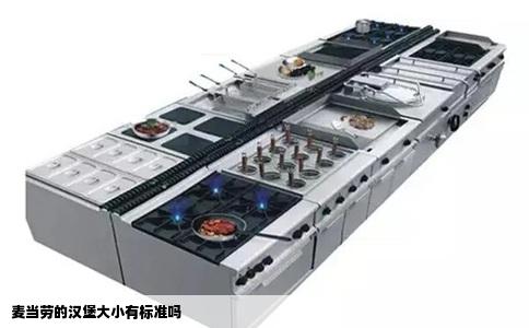 麦当劳的汉堡大小有标准吗