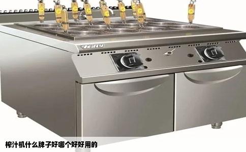 榨汁机什么牌子好哪个好好用的