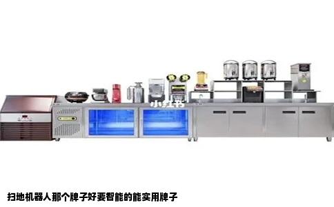 扫地机器人那个牌子好要智能的能实用牌子