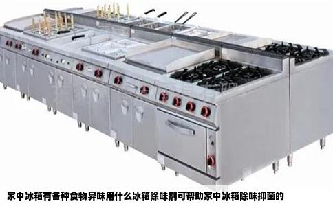 家中冰箱有各种食物异味用什么冰箱除味剂可帮助家中冰箱除味抑菌的