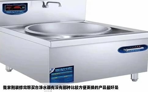 我家刚装修完想买台净水器有没有那种比较方便更换的产品最好是