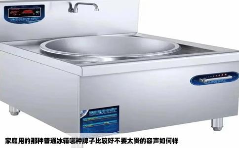 家庭用的那种普通冰箱哪种牌子比较好不要太贵的容声如何样