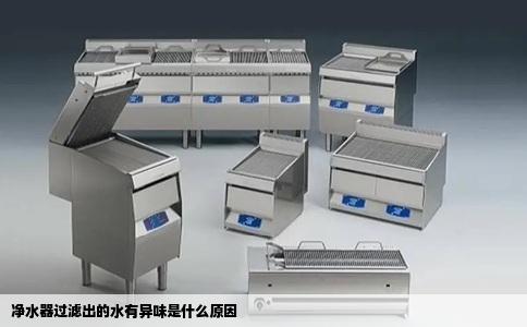 净水器过滤出的水有异味是什么原因
