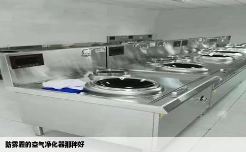 防雾霾的空气净化器那种好