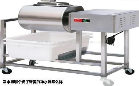 净水器哪个牌子好美的净水器怎么样