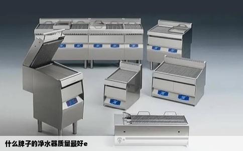 什么牌子的净水器质量最好e