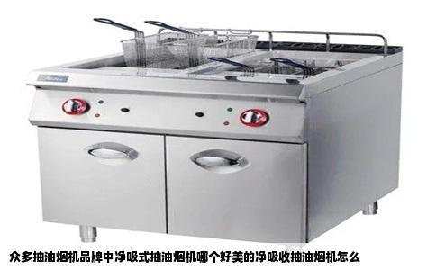 众多抽油烟机品牌中净吸式抽油烟机哪个好美的净吸收抽油烟机怎么