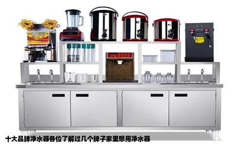十大品牌净水器各位了解过几个牌子家里想用净水器