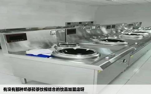 有没有那种奶茶和茶饮相结合的饮品加盟店呀
