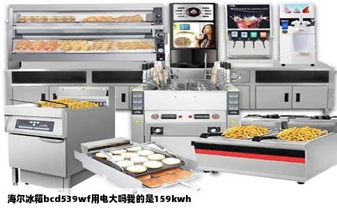 海尔冰箱bcd539wf用电大吗我的是159kwh