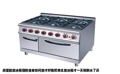 蔬菜能放冰箱保鲜或者如何放才好我把黄瓜放冰箱才一天就脱水了还