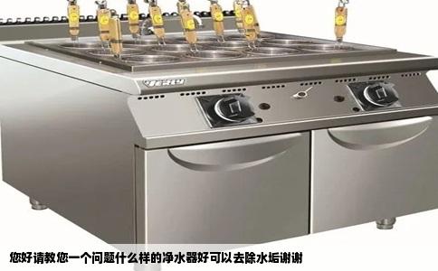 您好请教您一个问题什么样的净水器好可以去除水垢谢谢