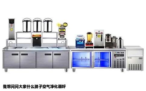 我想问问大家什么牌子空气净化器好