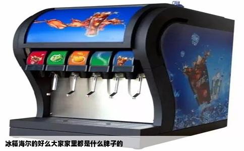 冰箱海尔的好么大家家里都是什么牌子的