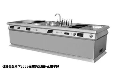 你好我想问下2000左右的冰箱什么牌子好