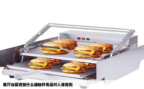 客厅冰箱旁放什么植物好看且对人体有利