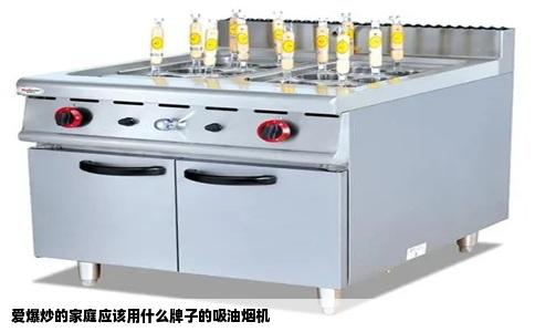 爱爆炒的家庭应该用什么牌子的吸油烟机