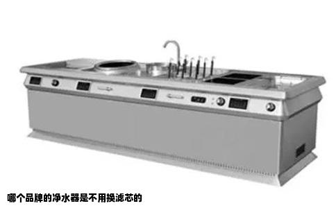 哪个品牌的净水器是不用换滤芯的
