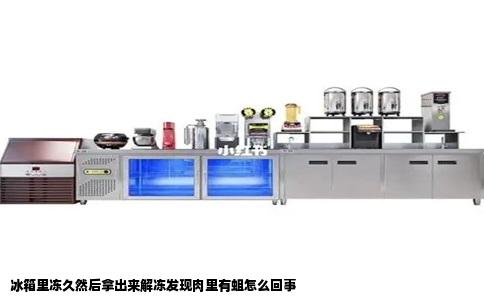 冰箱里冻久然后拿出来解冻发现肉里有蛆怎么回事