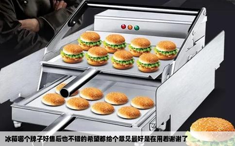 冰箱哪个牌子好售后也不错的希望都给个意见最好是在用着谢谢了