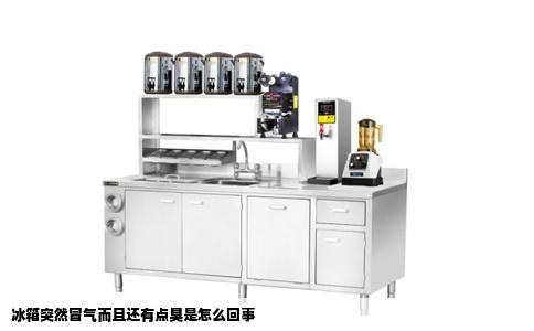 冰箱突然冒气而且还有点臭是怎么回事