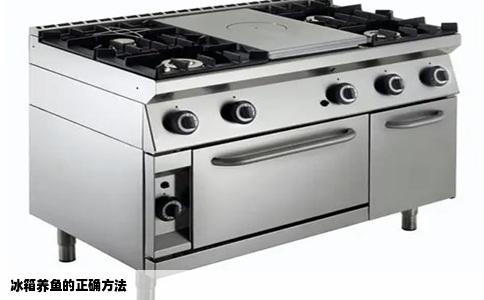 冰箱养鱼的正确方法