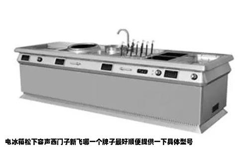 电冰箱松下容声西门子新飞哪一个牌子最好顺便提供一下具体型号