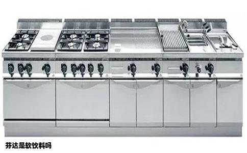 芬达是软饮料吗