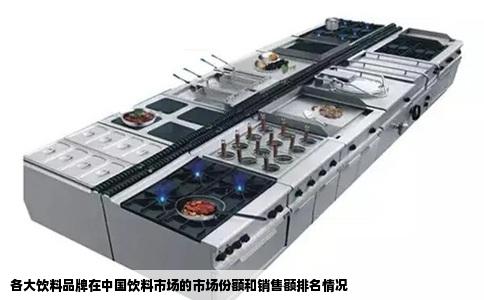 各大饮料品牌在中国饮料市场的市场份额和销售额排名情况