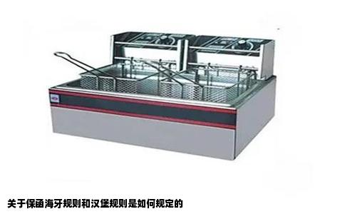 关于保函海牙规则和汉堡规则是如何规定的