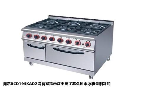 海尔BCD195KADZ冷藏室指示灯不亮了怎么回事冰箱是制冷的