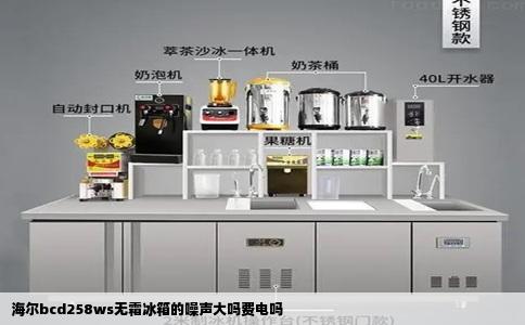 海尔bcd258ws无霜冰箱的噪声大吗费电吗