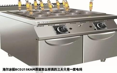 海尔冰箱BCD215KAM质量怎么样真的三天只用一度电吗