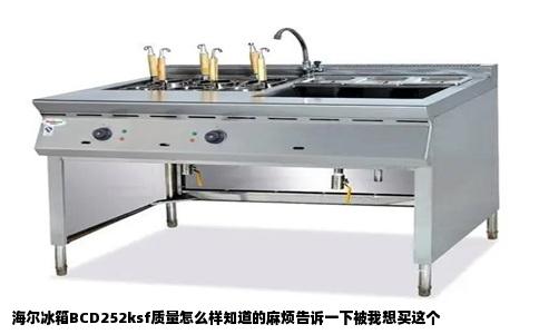 海尔冰箱BCD252ksf质量怎么样知道的麻烦告诉一下被我想买这个