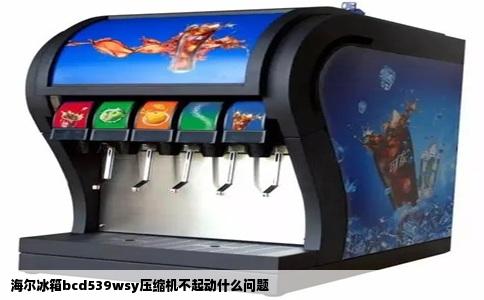 海尔冰箱bcd539wsy压缩机不起动什么问题