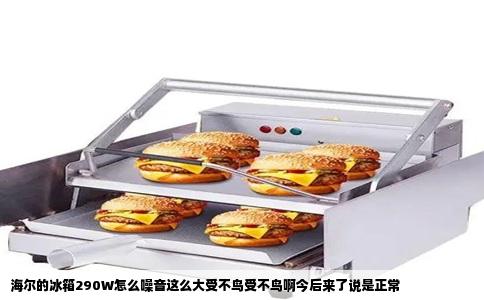 海尔的冰箱290W怎么噪音这么大受不鸟受不鸟啊今后来了说是正常