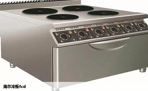 海尔冷柜fcd