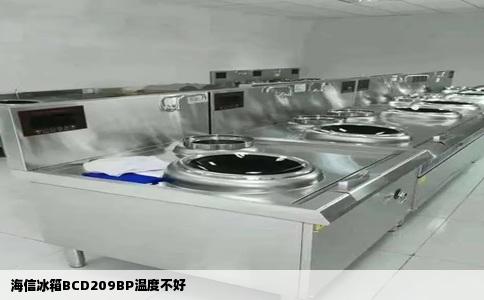 海信冰箱BCD209BP温度不好