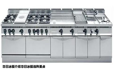 华日冰箱介绍华日冰箱选购要点