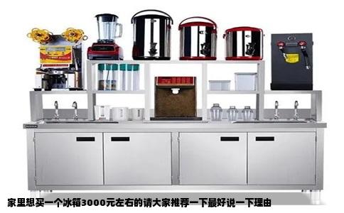 家里想买一个冰箱3000元左右的请大家推荐一下最好说一下理由